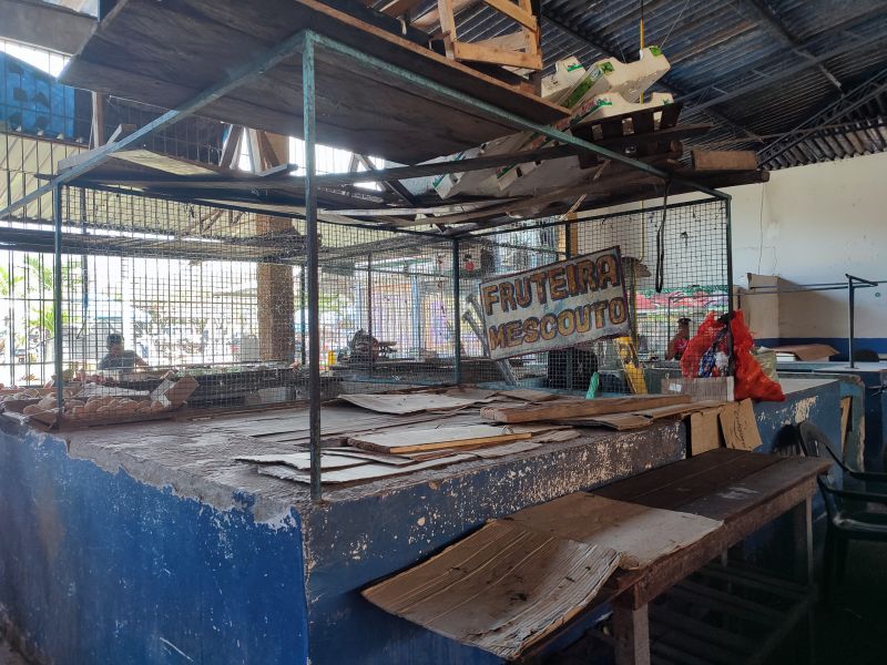  <div class='credito_fotos'>Foto: Karla Reis &nbsp;&nbsp;|&nbsp;&nbsp; <a href='/midias/2024/originais/7912_7f1a7ef9-a25f-5764-be69-711093f52279.jpg' download><i class='fa-solid fa-download'></i> Download</a></div>