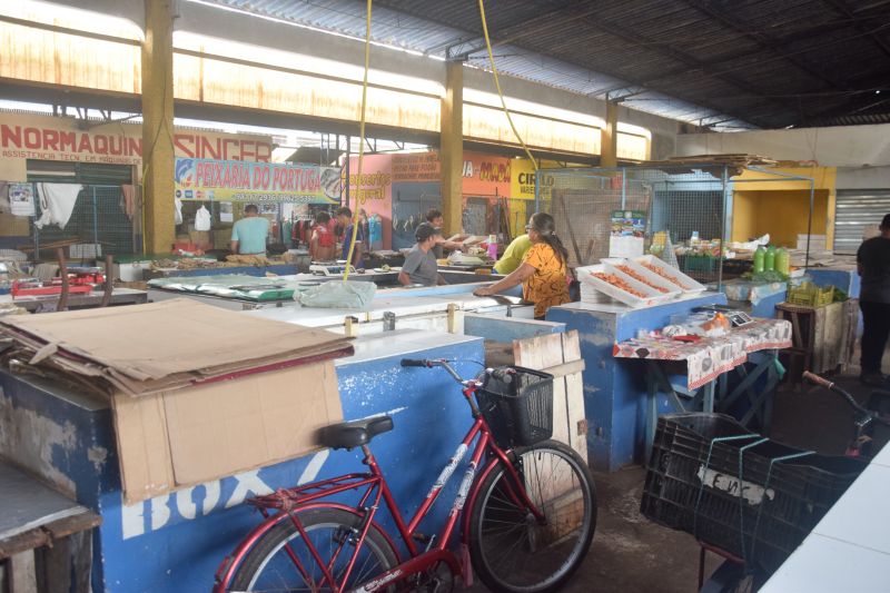  <div class='credito_fotos'>Foto: Karla Reis &nbsp;&nbsp;|&nbsp;&nbsp; <a href='/midias/2024/originais/7912_95877e38-2e02-6364-7ad1-9acc4cdee7d8.jpg' download><i class='fa-solid fa-download'></i> Download</a></div>