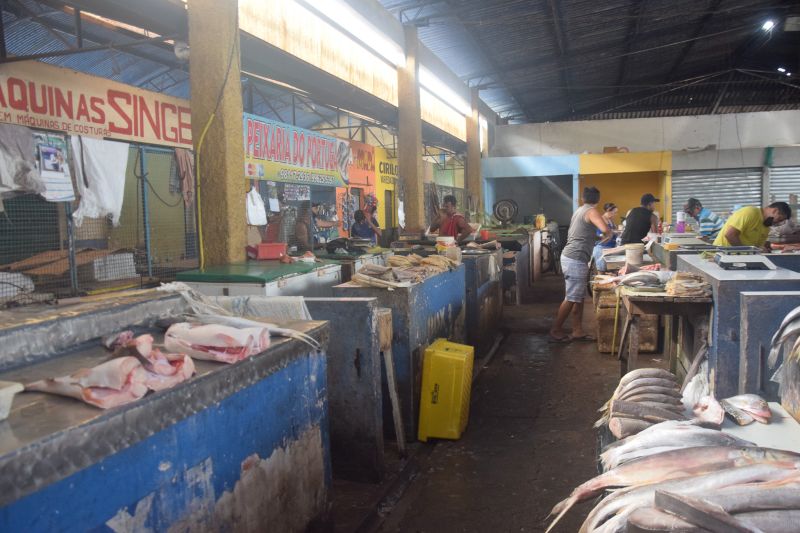  <div class='credito_fotos'>Foto: Karla Reis &nbsp;&nbsp;|&nbsp;&nbsp; <a href='/midias/2024/originais/7912_ed75ab7c-74c0-3a93-92d6-6164337c4f4c.jpg' download><i class='fa-solid fa-download'></i> Download</a></div>