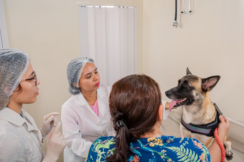  <div class='credito_fotos'>Foto: Karla Reis &nbsp;&nbsp;|&nbsp;&nbsp; <a href='/midias/2024/originais/7933_9232a169-fb1a-752b-e263-fdb1acaf91f5.jpg' download><i class='fa-solid fa-download'></i> Download</a></div>