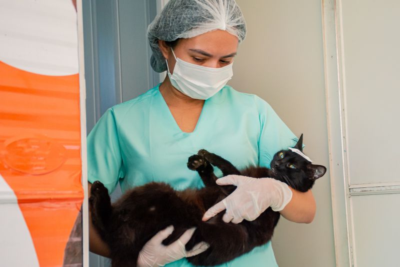  <div class='credito_fotos'>Foto: Karla Reis &nbsp;&nbsp;|&nbsp;&nbsp; <a href='/midias/2024/originais/7937_0323b32c-7a3c-2015-2165-8169134f62da.jpg' download><i class='fa-solid fa-download'></i> Download</a></div>