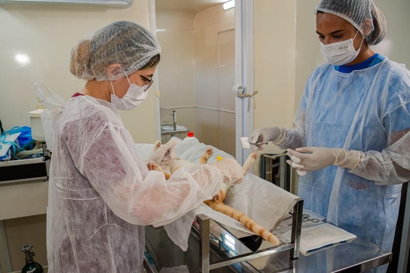  <div class='credito_fotos'>Foto: Karla Reis &nbsp;&nbsp;|&nbsp;&nbsp; <a href='/midias/2024/originais/7937_344444be-944c-837a-0320-7c55f225472b.jpg' download><i class='fa-solid fa-download'></i> Download</a></div>