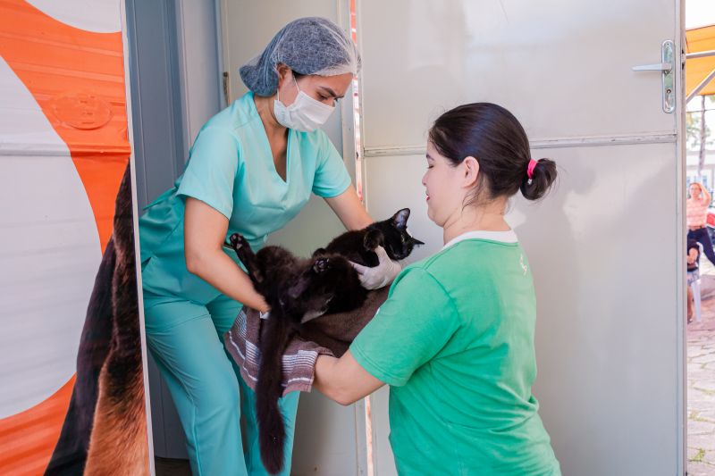  <div class='credito_fotos'>Foto: Karla Reis &nbsp;&nbsp;|&nbsp;&nbsp; <a href='/midias/2024/originais/7937_9ceebff9-60bb-ded3-130e-6fcb2ec4f2c3.jpg' download><i class='fa-solid fa-download'></i> Download</a></div>