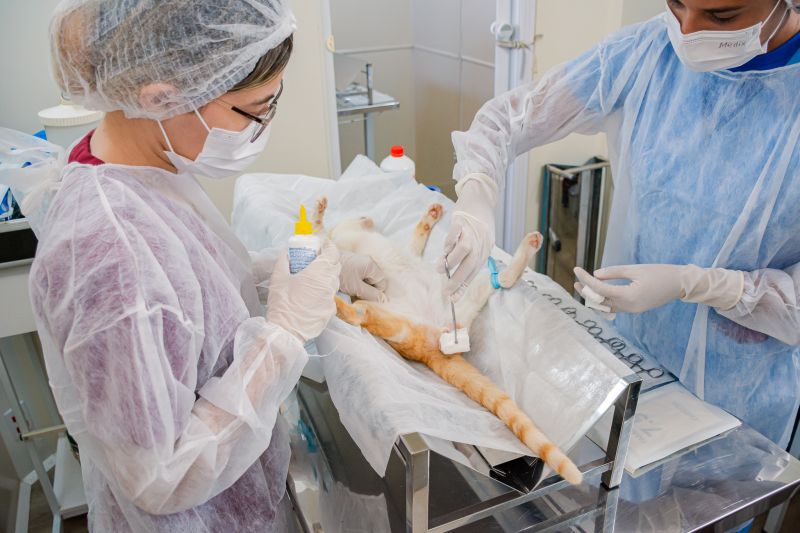  <div class='credito_fotos'>Foto: Karla Reis &nbsp;&nbsp;|&nbsp;&nbsp; <a href='/midias/2024/originais/7937_a9f09825-5e2d-ff54-f0b2-b30aa6ef001c.jpg' download><i class='fa-solid fa-download'></i> Download</a></div>