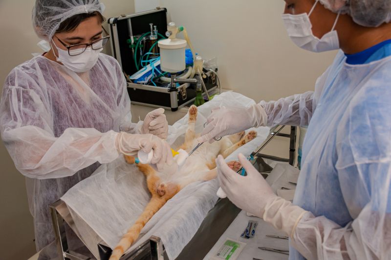  <div class='credito_fotos'>Foto: Karla Reis &nbsp;&nbsp;|&nbsp;&nbsp; <a href='/midias/2024/originais/7937_fb1bd3c9-a015-5a5a-95f8-a012e11a1d4d.jpg' download><i class='fa-solid fa-download'></i> Download</a></div>