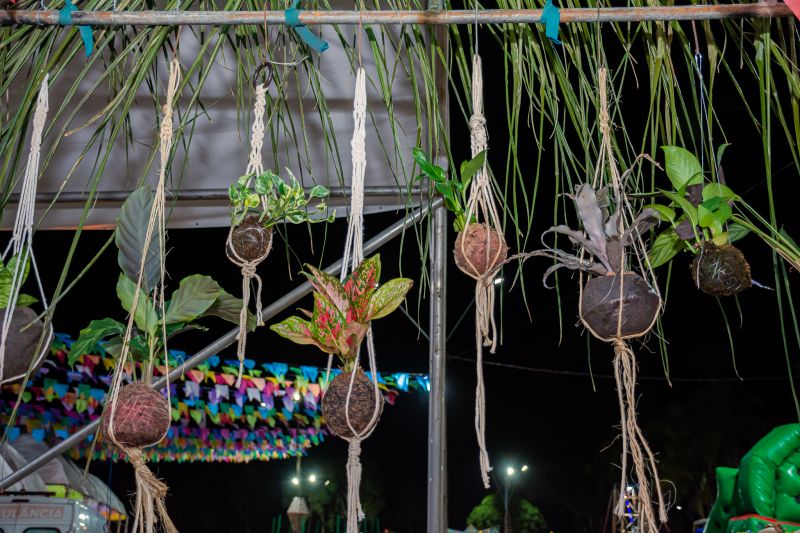  <div class='credito_fotos'>Foto: Karla Reis &nbsp;&nbsp;|&nbsp;&nbsp; <a href='/midias/2024/originais/7952_a06697e1-4923-3b89-8ff7-f1765a0408b2.jpg' download><i class='fa-solid fa-download'></i> Download</a></div>