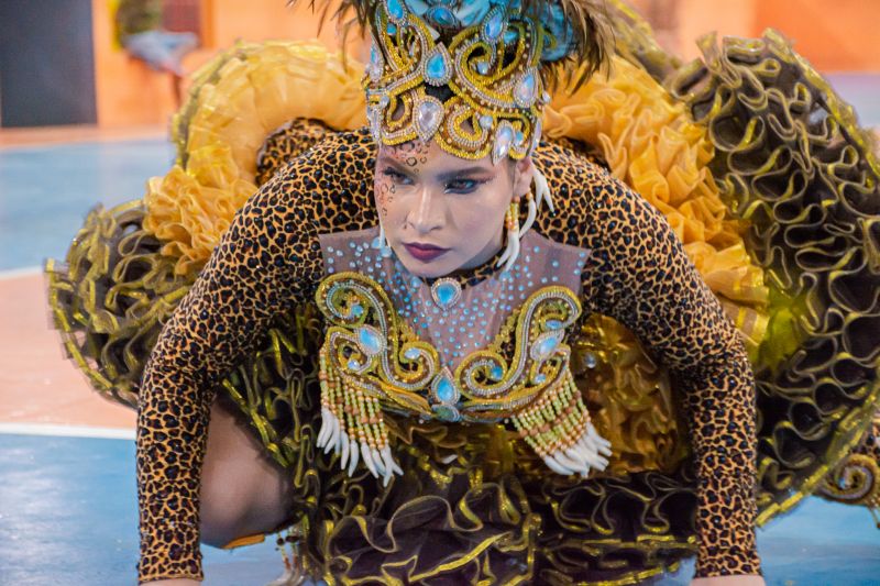  <div class='credito_fotos'>Foto: Karla Reis &nbsp;&nbsp;|&nbsp;&nbsp; <a href='/midias/2024/originais/7960_2c7c358e-1431-d722-fc49-aa535a750649.jpg' download><i class='fa-solid fa-download'></i> Download</a></div>