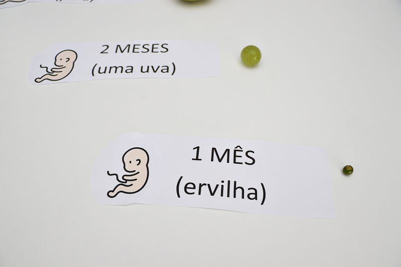Primeira rodada de conversa -  Cras Primeira infância. <div class='credito_fotos'>Foto: Márcio Souza &nbsp;&nbsp;|&nbsp;&nbsp; <a href='/midias/2024/originais/7980_ac0696cc-ee3b-f640-d406-c2d99c9562a4.jpg' download><i class='fa-solid fa-download'></i> Download</a></div>