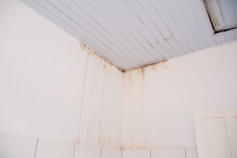  <div class='credito_fotos'>Foto: Karla Reis &nbsp;&nbsp;|&nbsp;&nbsp; <a href='/midias/2024/originais/7981_13e6603e-e710-4917-9a2d-f2e8fd8561a0.jpg' download><i class='fa-solid fa-download'></i> Download</a></div>