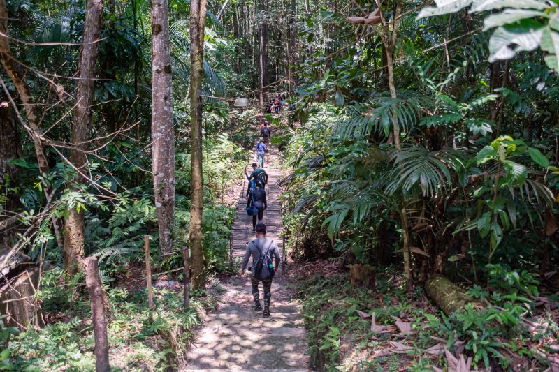  <div class='credito_fotos'>Foto: Karla Reis &nbsp;&nbsp;|&nbsp;&nbsp; <a href='/midias/2024/originais/7987_e4b286d0-47ed-e1b9-7810-d201740d8155.jpg' download><i class='fa-solid fa-download'></i> Download</a></div>