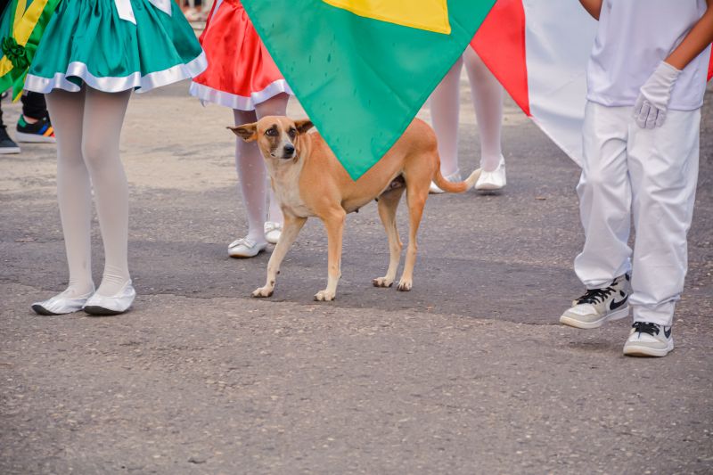  <div class='credito_fotos'>Foto: Karla Reis &nbsp;&nbsp;|&nbsp;&nbsp; <a href='/midias/2024/originais/7989_4d2460f8-dfb6-eda9-0499-0515999f51cd.jpg' download><i class='fa-solid fa-download'></i> Download</a></div>