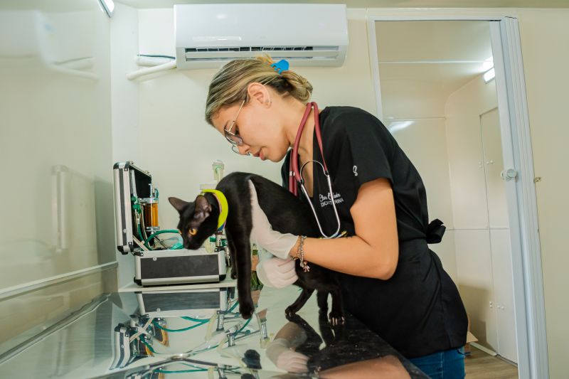  <div class='credito_fotos'>Foto: Karla Reis &nbsp;&nbsp;|&nbsp;&nbsp; <a href='/midias/2024/originais/8021_0152fec2-c7f0-a388-1fe7-9baeed130b1c.jpg' download><i class='fa-solid fa-download'></i> Download</a></div>