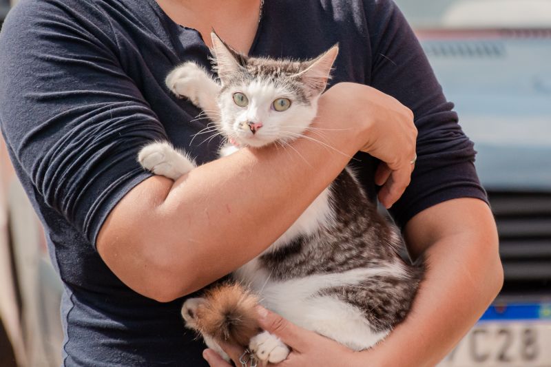  <div class='credito_fotos'>Foto: Karla Reis &nbsp;&nbsp;|&nbsp;&nbsp; <a href='/midias/2024/originais/8021_8cc42188-0dbb-ba3b-e6a0-2c413dbdee84.jpg' download><i class='fa-solid fa-download'></i> Download</a></div>