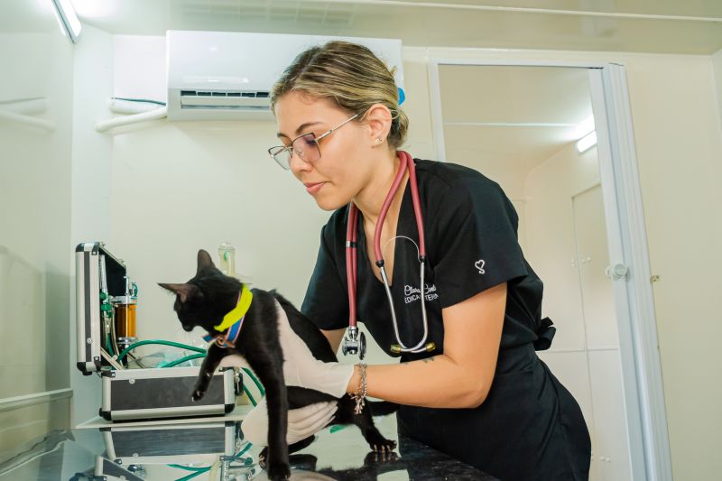  <div class='credito_fotos'>Foto: Karla Reis &nbsp;&nbsp;|&nbsp;&nbsp; <a href='/midias/2024/originais/8021_94bc9c8e-dab1-8b54-1223-98782e84156d.jpg' download><i class='fa-solid fa-download'></i> Download</a></div>