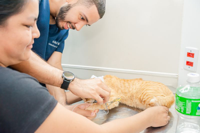  <div class='credito_fotos'>Foto: Karla Reis &nbsp;&nbsp;|&nbsp;&nbsp; <a href='/midias/2024/originais/8021_d3ca1828-7e52-879d-3c1d-19054841cf79.jpg' download><i class='fa-solid fa-download'></i> Download</a></div>