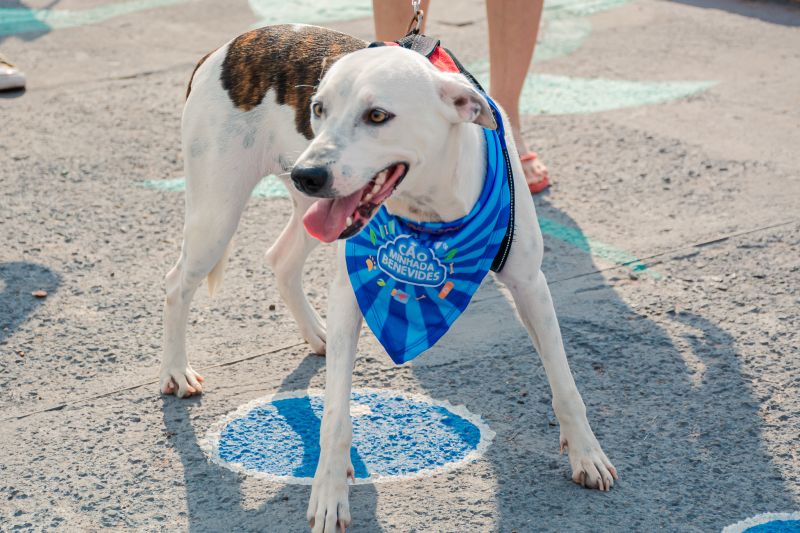  <div class='credito_fotos'>Foto: Karla Reis &nbsp;&nbsp;|&nbsp;&nbsp; <a href='/midias/2024/originais/8022_68a092dd-64a3-33ec-97bc-b7ba2412dd7f.jpg' download><i class='fa-solid fa-download'></i> Download</a></div>