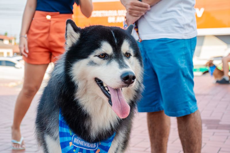  <div class='credito_fotos'>Foto: Karla Reis &nbsp;&nbsp;|&nbsp;&nbsp; <a href='/midias/2024/originais/8022_a777c176-9842-57e1-7d96-5e2e4c97bd02.jpg' download><i class='fa-solid fa-download'></i> Download</a></div>