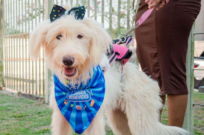  <div class='credito_fotos'>Foto: Karla Reis &nbsp;&nbsp;|&nbsp;&nbsp; <a href='/midias/2024/originais/8022_f4cdd697-8c5f-5043-2830-b7178b40c75b.jpg' download><i class='fa-solid fa-download'></i> Download</a></div>