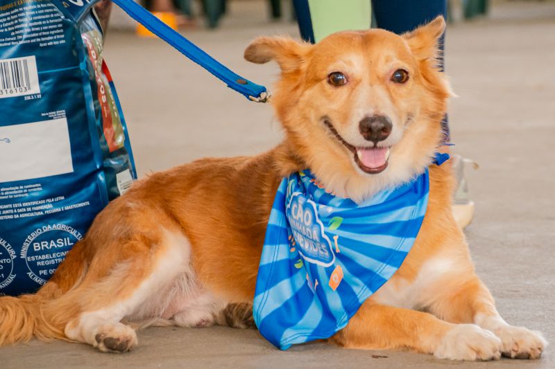  <div class='credito_fotos'>Foto: Karla Reis &nbsp;&nbsp;|&nbsp;&nbsp; <a href='/midias/2024/originais/8022_fed7fc13-d029-b456-a329-ac98f5c0a57a.jpg' download><i class='fa-solid fa-download'></i> Download</a></div>