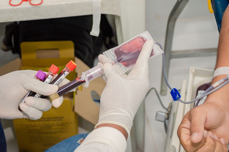  <div class='credito_fotos'>Foto: Karla Reis &nbsp;&nbsp;|&nbsp;&nbsp; <a href='/midias/2024/originais/8024_4b50dcce-0ff5-b0ad-5a39-92a274dc4a2a.jpg' download><i class='fa-solid fa-download'></i> Download</a></div>