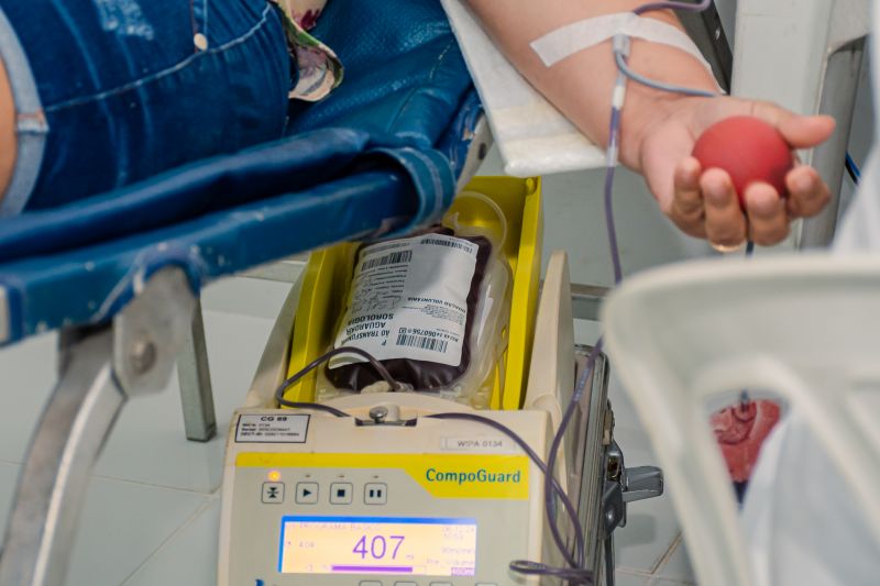  <div class='credito_fotos'>Foto: Karla Reis &nbsp;&nbsp;|&nbsp;&nbsp; <a href='/midias/2024/originais/8024_5384710e-c680-beec-a419-8935edc71077.jpg' download><i class='fa-solid fa-download'></i> Download</a></div>