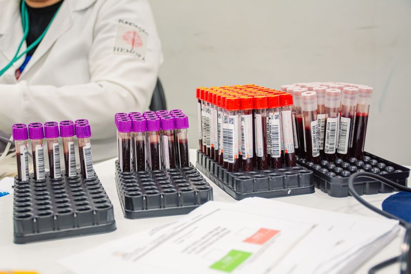  <div class='credito_fotos'>Foto: Karla Reis &nbsp;&nbsp;|&nbsp;&nbsp; <a href='/midias/2024/originais/8024_bb44cb40-6707-e1f4-c075-b52aace75fd4.jpg' download><i class='fa-solid fa-download'></i> Download</a></div>