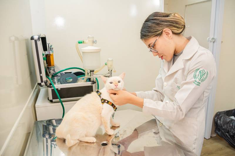 Crédito: Karla Reis