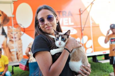 notícia: Castramóvel continua oferecendo atendimento em Benevides