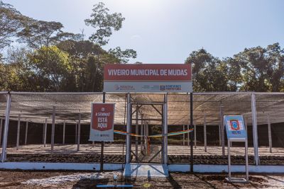 notícia: Inauguração do Viveiro Municipal de Mudas de Benevides marca o Dia Mundial do Meio Ambiente
