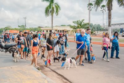 notícia: Benevides realiza primeira “Cãominhada” em prol dos animais