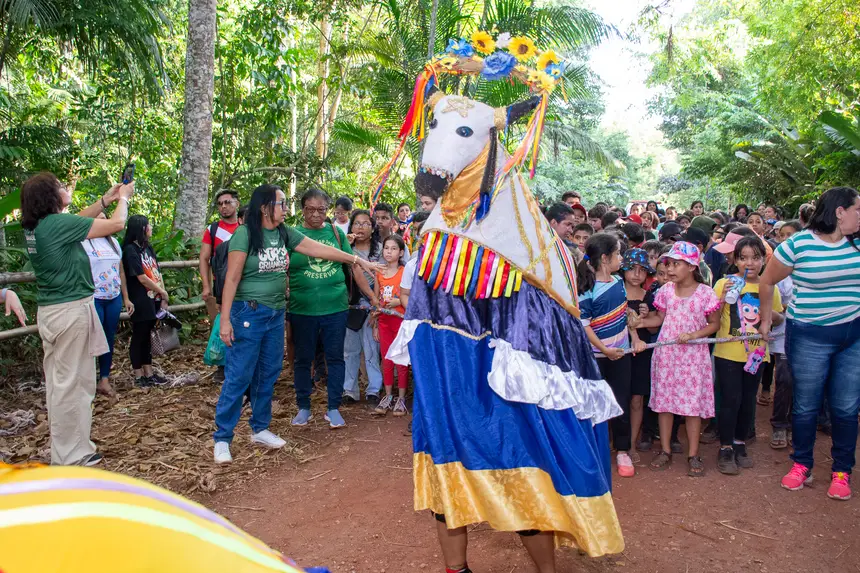  <div class='credito_fotos'>Foto: Karla Reis &nbsp;&nbsp;|&nbsp;&nbsp; <a href='/midias/2025/originais/20251104222953-GF00009204-F00106528.webp' download><i class='fa-solid fa-download'></i> Download</a></div>