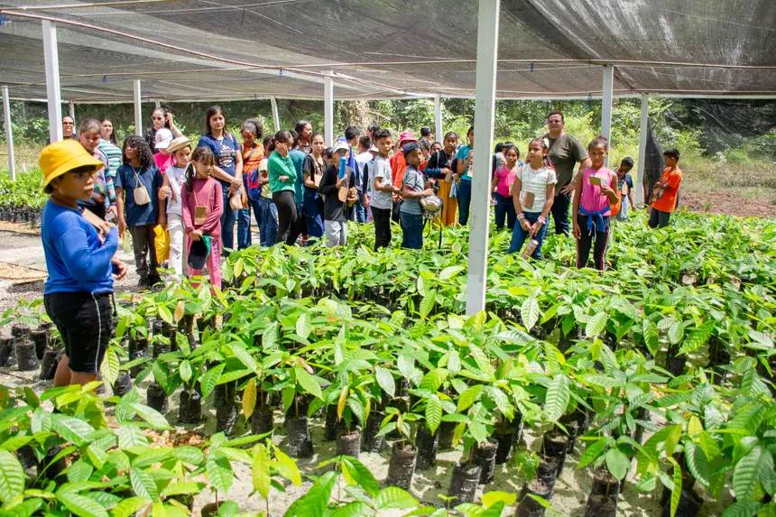  <div class='credito_fotos'>Foto: Karla Reis &nbsp;&nbsp;|&nbsp;&nbsp; <a href='/midias/2025/originais/20251104224321-GF00009205-F00106641.webp' download><i class='fa-solid fa-download'></i> Download</a></div>