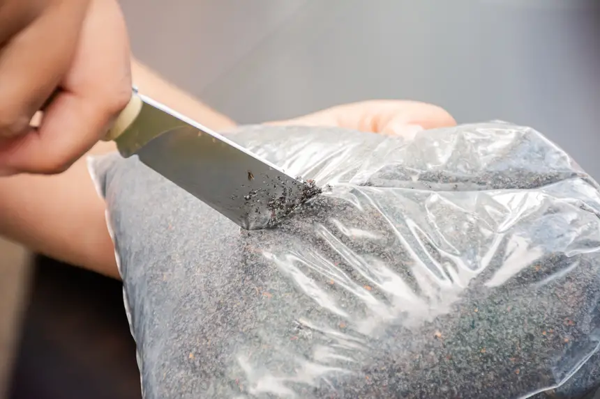  <div class='credito_fotos'>Foto:  &nbsp;&nbsp;|&nbsp;&nbsp; <a href='/midias/2025/originais/20251205144144-GF00009230-F00107751.webp' download><i class='fa-solid fa-download'></i> Download</a></div>