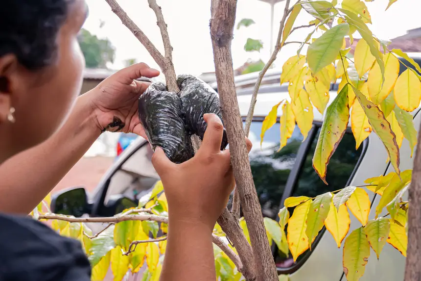  <div class='credito_fotos'>Foto:  &nbsp;&nbsp;|&nbsp;&nbsp; <a href='/midias/2025/originais/20251205144151-GF00009230-F00107756.webp' download><i class='fa-solid fa-download'></i> Download</a></div>