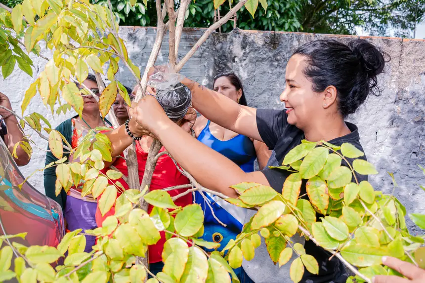  <div class='credito_fotos'>Foto:  &nbsp;&nbsp;|&nbsp;&nbsp; <a href='/midias/2025/originais/20251205144156-GF00009230-F00107760.webp' download><i class='fa-solid fa-download'></i> Download</a></div>