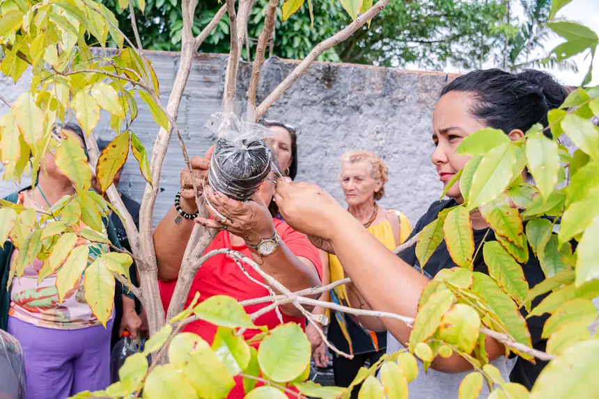  <div class='credito_fotos'>Foto:  &nbsp;&nbsp;|&nbsp;&nbsp; <a href='/midias/2025/originais/20251205144159-GF00009230-F00107762.webp' download><i class='fa-solid fa-download'></i> Download</a></div>