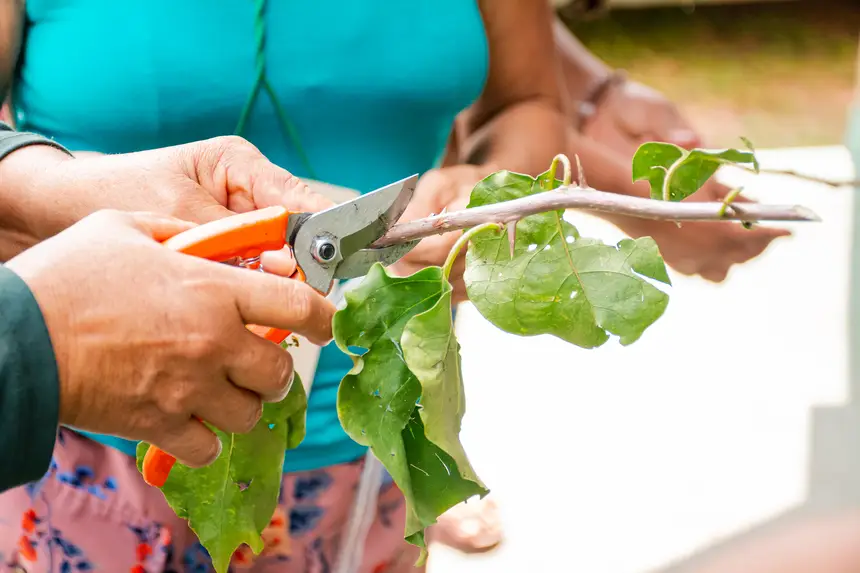  <div class='credito_fotos'>Foto:  &nbsp;&nbsp;|&nbsp;&nbsp; <a href='/midias/2025/originais/20251205144200-GF00009230-F00107763.webp' download><i class='fa-solid fa-download'></i> Download</a></div>