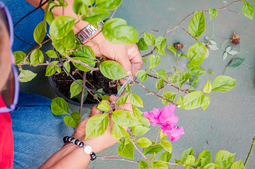  <div class='credito_fotos'>Foto:  &nbsp;&nbsp;|&nbsp;&nbsp; <a href='/midias/2025/originais/20251205144207-GF00009230-F00107768.webp' download><i class='fa-solid fa-download'></i> Download</a></div>