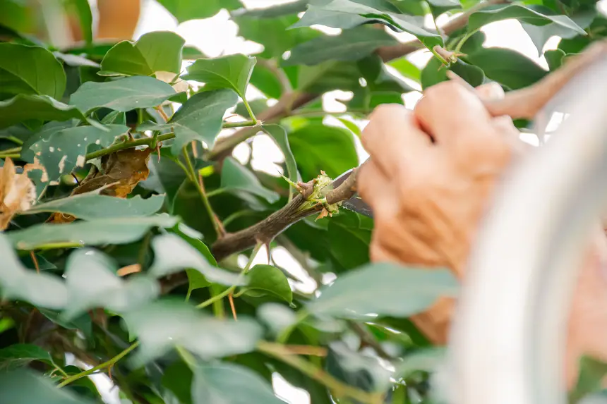  <div class='credito_fotos'>Foto:  &nbsp;&nbsp;|&nbsp;&nbsp; <a href='/midias/2025/originais/20251205144218-GF00009230-F00107777.webp' download><i class='fa-solid fa-download'></i> Download</a></div>