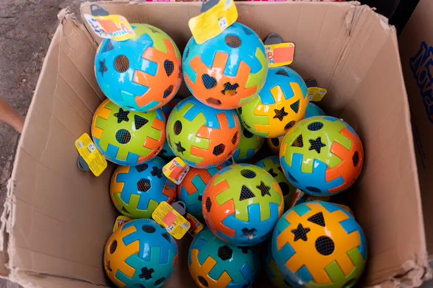  <div class='credito_fotos'>Foto: Heloam Sousa &nbsp;&nbsp;|&nbsp;&nbsp; <a href='/midias/2025/originais/20251215161110-GF00009233-F00107890.webp' download><i class='fa-solid fa-download'></i> Download</a></div>