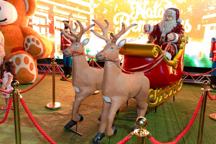  <div class='credito_fotos'>Foto: Heloam Sousa &nbsp;&nbsp;|&nbsp;&nbsp; <a href='/midias/2025/originais/20251215161219-GF00009233-F00107936.webp' download><i class='fa-solid fa-download'></i> Download</a></div>