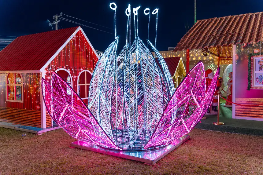  <div class='credito_fotos'>Foto: Heloam Sousa &nbsp;&nbsp;|&nbsp;&nbsp; <a href='/midias/2025/originais/20251215161226-GF00009233-F00107940.webp' download><i class='fa-solid fa-download'></i> Download</a></div>