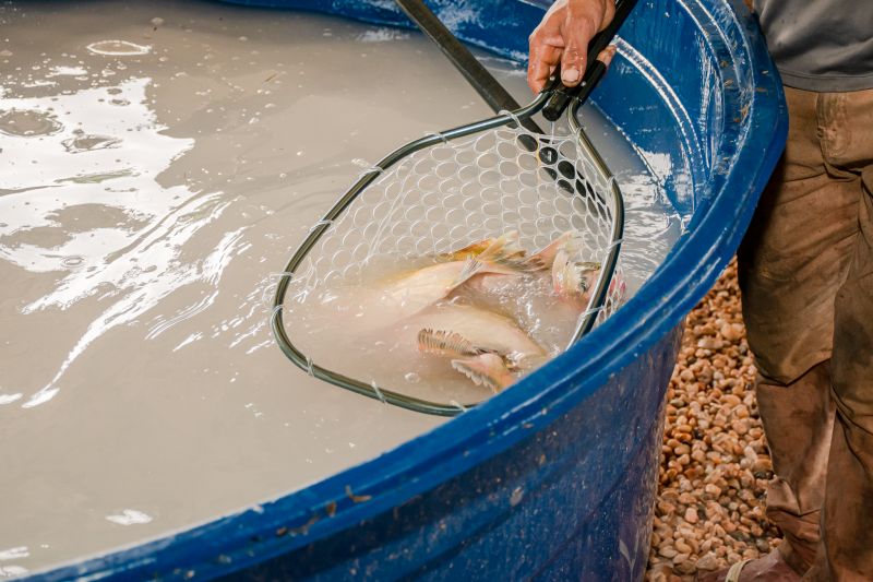  <div class='credito_fotos'>Foto: Karla Reis &nbsp;&nbsp;|&nbsp;&nbsp; <a href='/midias/2025/originais/8039_21bb81da-8a6d-6cfb-9006-a9d5b9676edd.jpg' download><i class='fa-solid fa-download'></i> Download</a></div>