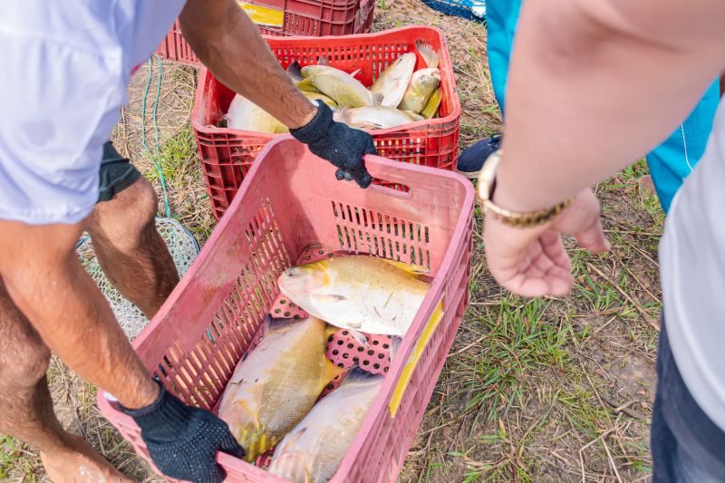  <div class='credito_fotos'>Foto: Karla Reis &nbsp;&nbsp;|&nbsp;&nbsp; <a href='/midias/2025/originais/8039_33445b23-0f0e-5cd4-63c6-3f0da4037a7c.jpg' download><i class='fa-solid fa-download'></i> Download</a></div>