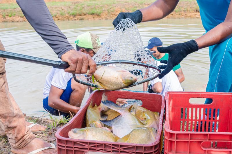  <div class='credito_fotos'>Foto: Karla Reis &nbsp;&nbsp;|&nbsp;&nbsp; <a href='/midias/2025/originais/8039_55492dfe-1946-11e4-53d7-35734f9d00c6.jpg' download><i class='fa-solid fa-download'></i> Download</a></div>