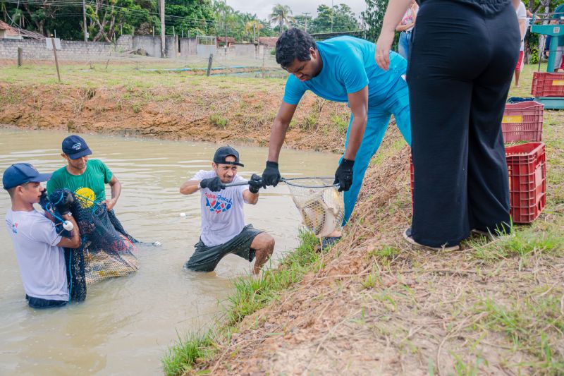  <div class='credito_fotos'>Foto: Karla Reis &nbsp;&nbsp;|&nbsp;&nbsp; <a href='/midias/2025/originais/8039_719d6150-87c8-d784-99fb-92df50f99320.jpg' download><i class='fa-solid fa-download'></i> Download</a></div>