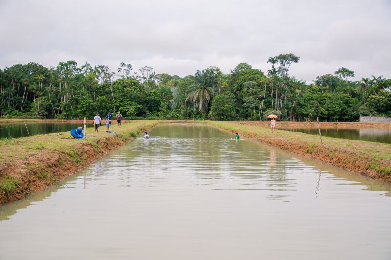  <div class='credito_fotos'>Foto: Karla Reis &nbsp;&nbsp;|&nbsp;&nbsp; <a href='/midias/2025/originais/8039_ed87b329-d4d7-2132-0adc-8d9482b1a7aa.jpg' download><i class='fa-solid fa-download'></i> Download</a></div>