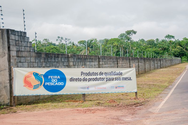  <div class='credito_fotos'>Foto: Karla Reis &nbsp;&nbsp;|&nbsp;&nbsp; <a href='/midias/2025/originais/8039_f4cec9e3-8022-824f-89a9-007b1fff055b.jpg' download><i class='fa-solid fa-download'></i> Download</a></div>