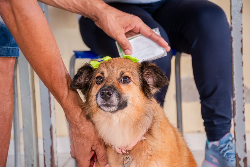  <div class='credito_fotos'>Foto: Karla Reis &nbsp;&nbsp;|&nbsp;&nbsp; <a href='/midias/2025/originais/8040_029f60ec-389d-39bc-6c29-b2a343f8d3c0.jpg' download><i class='fa-solid fa-download'></i> Download</a></div>