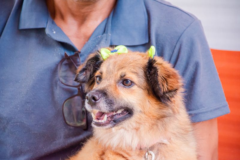  <div class='credito_fotos'>Foto: Karla Reis &nbsp;&nbsp;|&nbsp;&nbsp; <a href='/midias/2025/originais/8040_3f94f42e-d92f-b42c-04be-38320e69550c.jpg' download><i class='fa-solid fa-download'></i> Download</a></div>